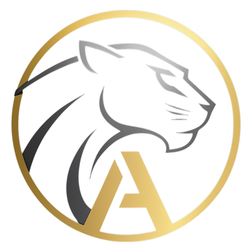A-PIX Logo